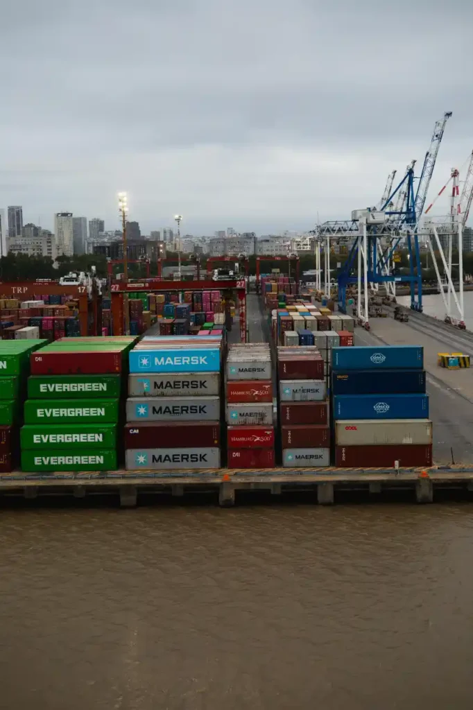 consultoría en zonas francas